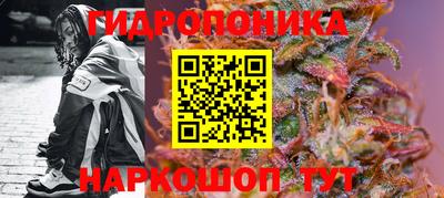 бошки Донецк
