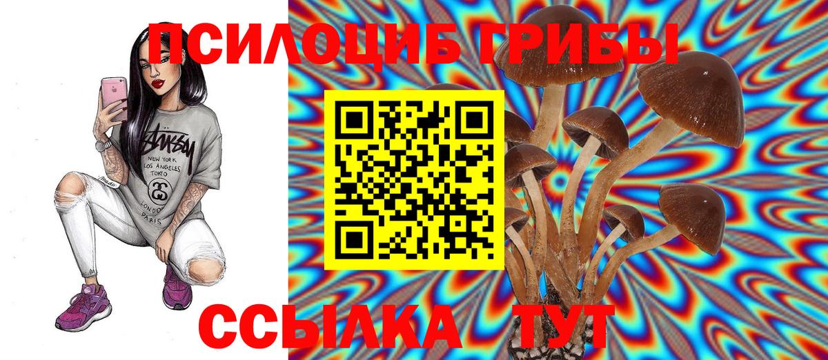 Псилоцибиновые грибы Psilocybe Медногорск