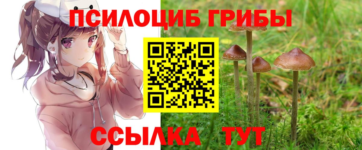 Галлюциногенные грибы ЛСД  закладки  Медногорск  Вход с VPN 